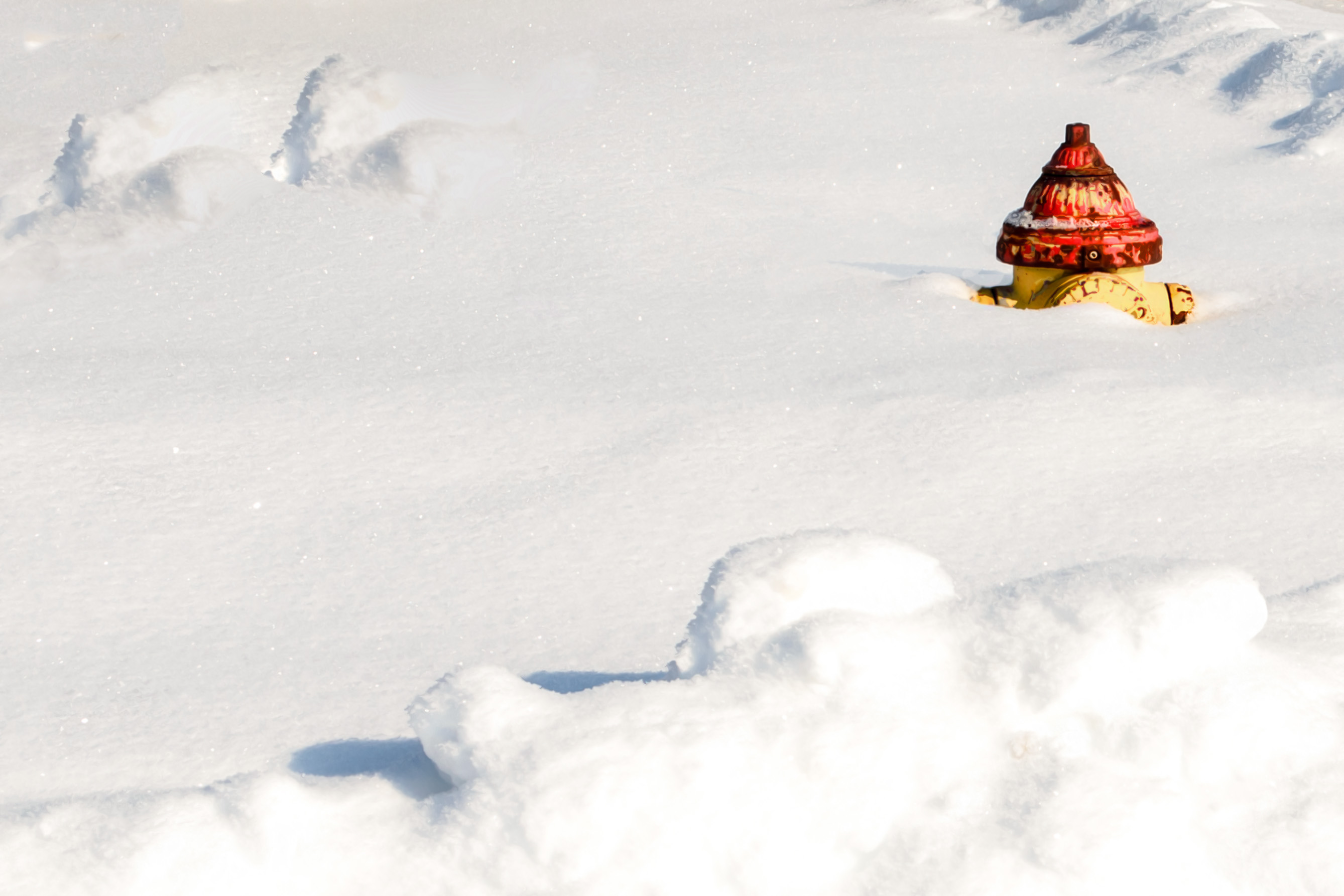 GuruShots - February 2026