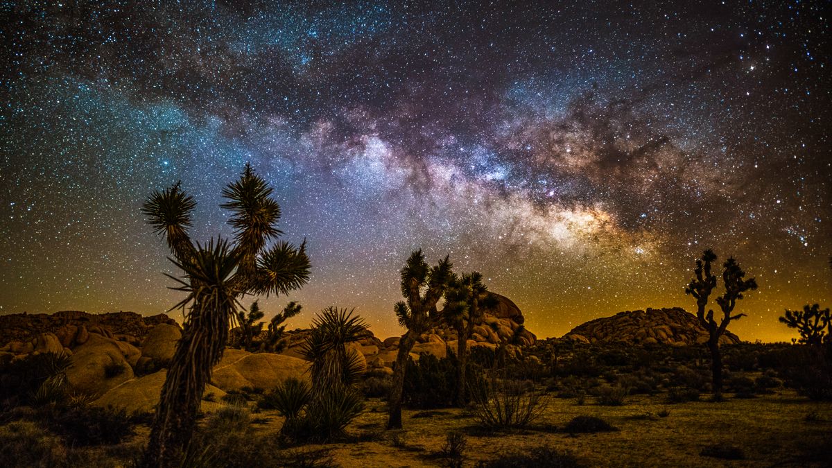 Night landscape with colorful Milky Way over the desert of Joshua Tree national park in California, USA.