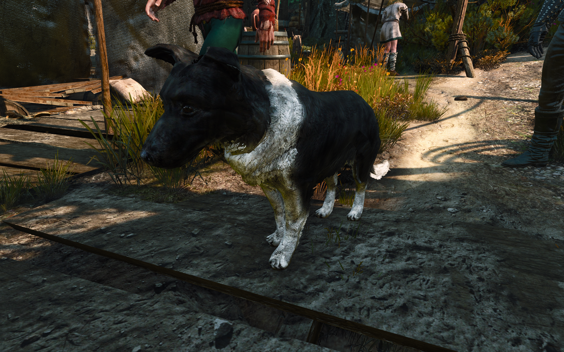 Henry Cavill's dog in the Witcher 3.