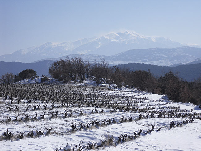 February 2015: Le Soula, Rousillon