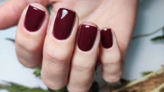 A hand with burgundy nails