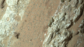 A brownish rock close up. There&#039;s a strip of lighter material toward the left and darker material toward the right. There are also darker speckles in the reddish brown center material.