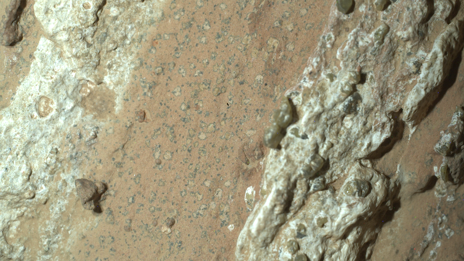 A brownish rock close up. There's a strip of lighter material toward the left and darker material toward the right. There are also darker speckles in the reddish brown center material.