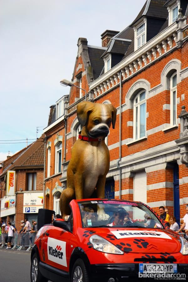British tire company Kleber has used a boxer as its mascot since 1971.