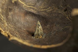 A skull with a bronze arrowhead in it was found at the Tollense site.
