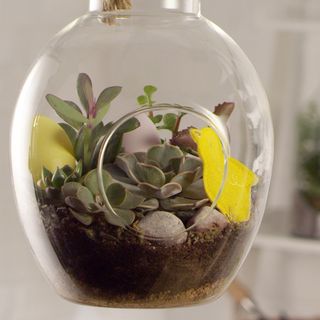 terrarium with plant and easter egg