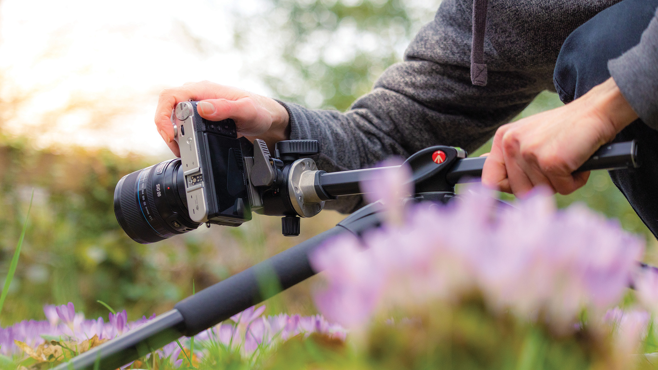 A person in a gray hoodie crouches, adjusting a camera on a tripod, capturing close-up shots of soft, purple flowers in a serene, outdoor setting