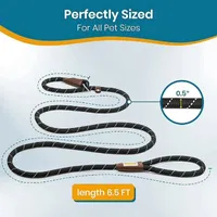 PAWBEE Slip Rope Training Dog Leash | Chewy
