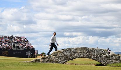 Tiger walks over the bridge