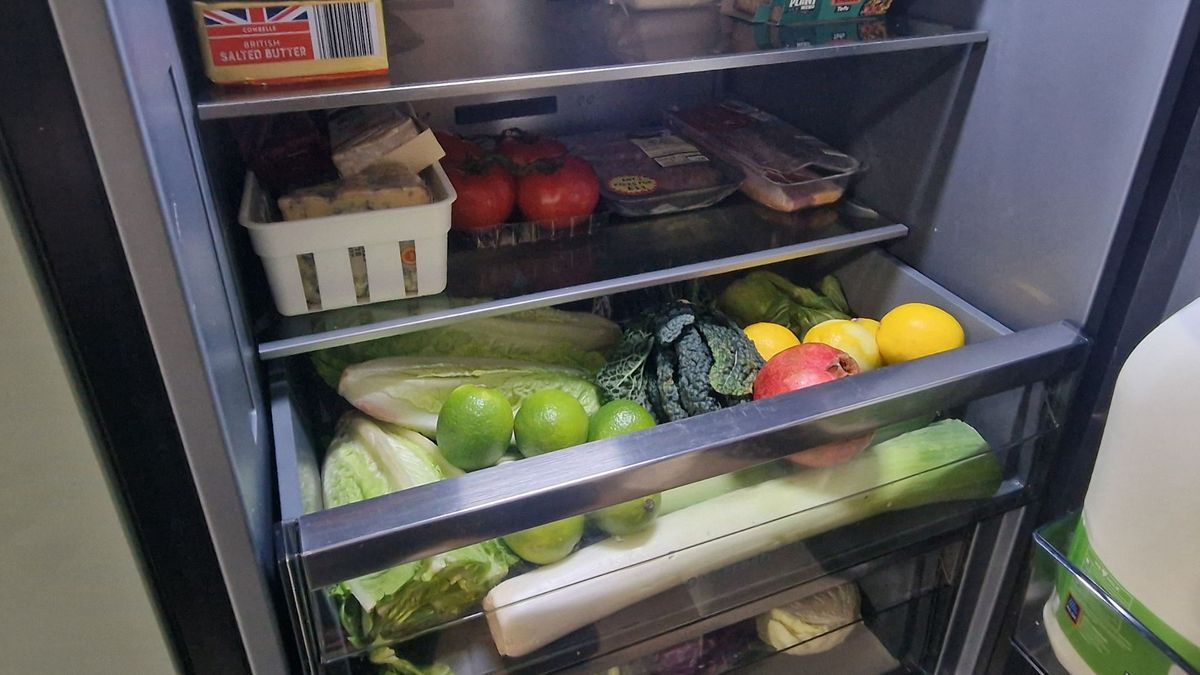 Hisense RB5K330GSFC in a green modern kitchen