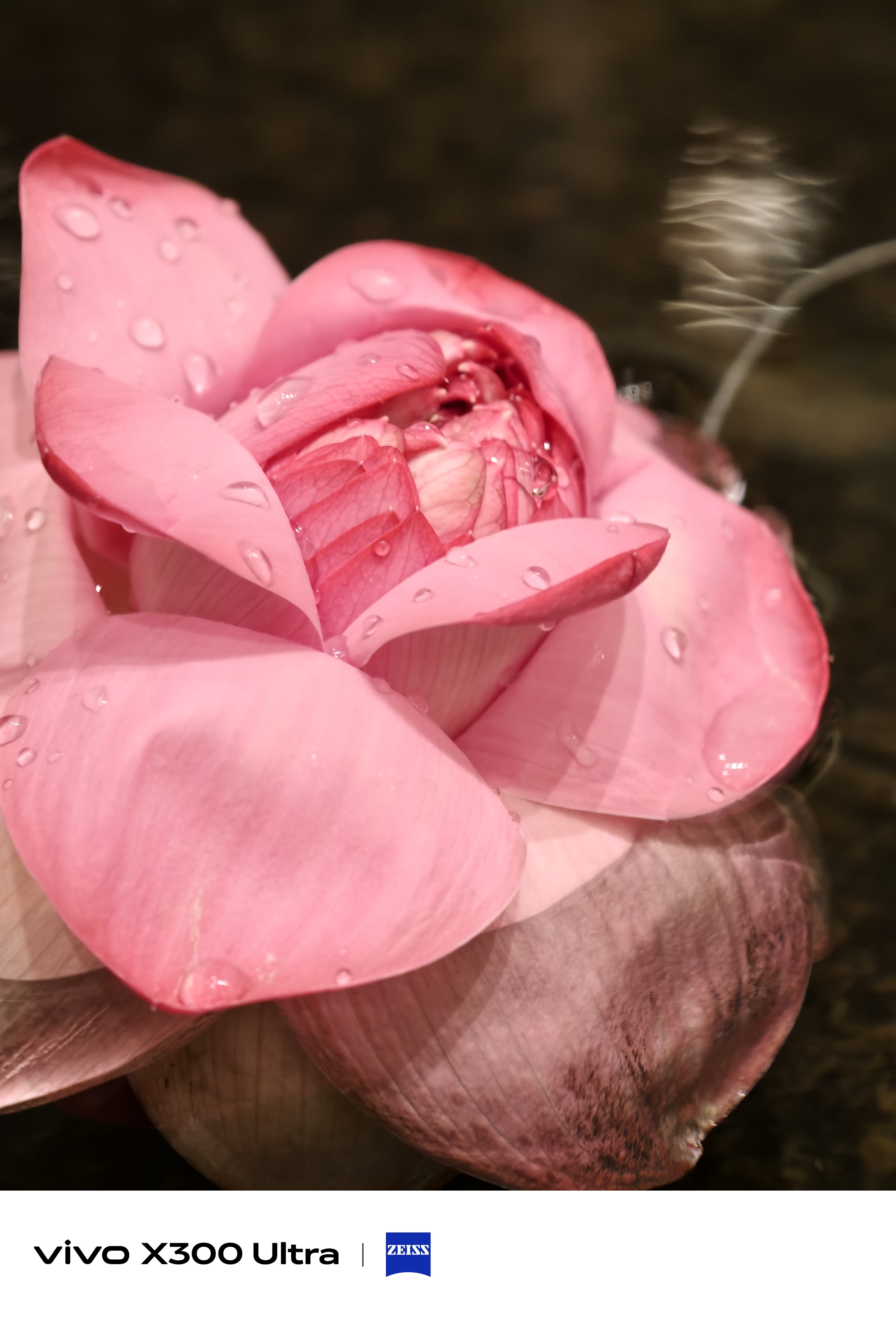 Vivo X300 Ultra camera testing in Hyderabad