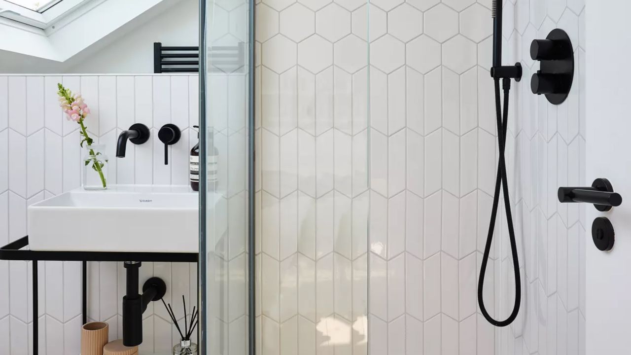 A monochrome bathroom with shower