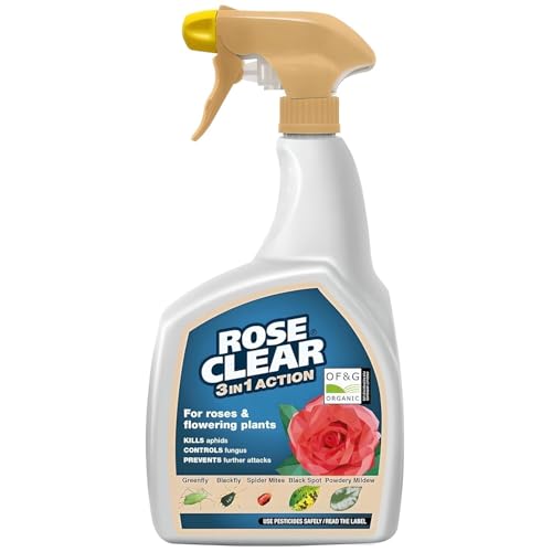 Rose Clear 3 in 1 Action &amp;ndash; Ready to Use Insecticide &amp;amp; Fungicide Spray for Roses &amp;amp; Ornamentals, 800ml | Controls Aphids, Black Spot, Powdery Mildew &amp;amp; Rust | Protects New Growth