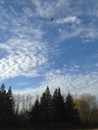 A drone flies toward the location of a collared bear in northwestern Minnesota. 