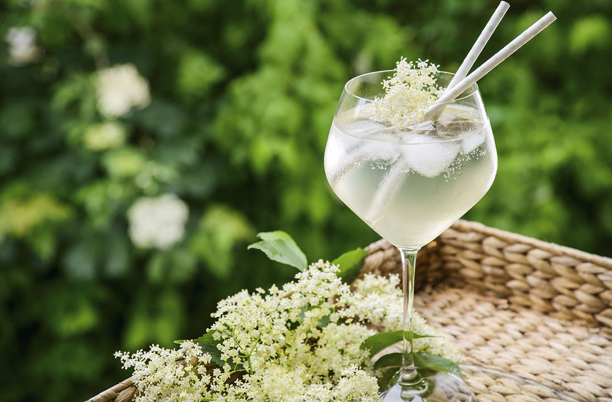 elderflower champagne