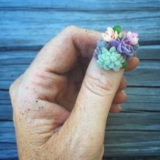Blue, Hand, Nail, Flower, Finger, Plant, Turquoise, Spring, Ring, Fashion accessory, 
