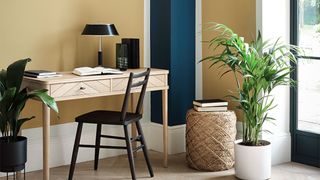 Yellow is one of the best living room paint colors, pictured here with a navy wall