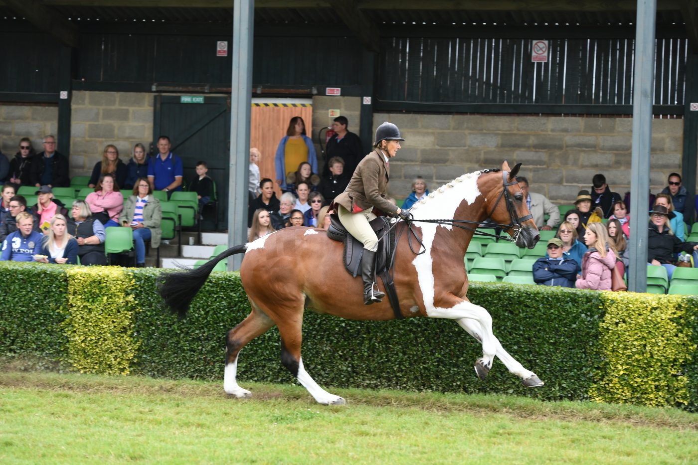coloured-champ-e1563291861164.jpg