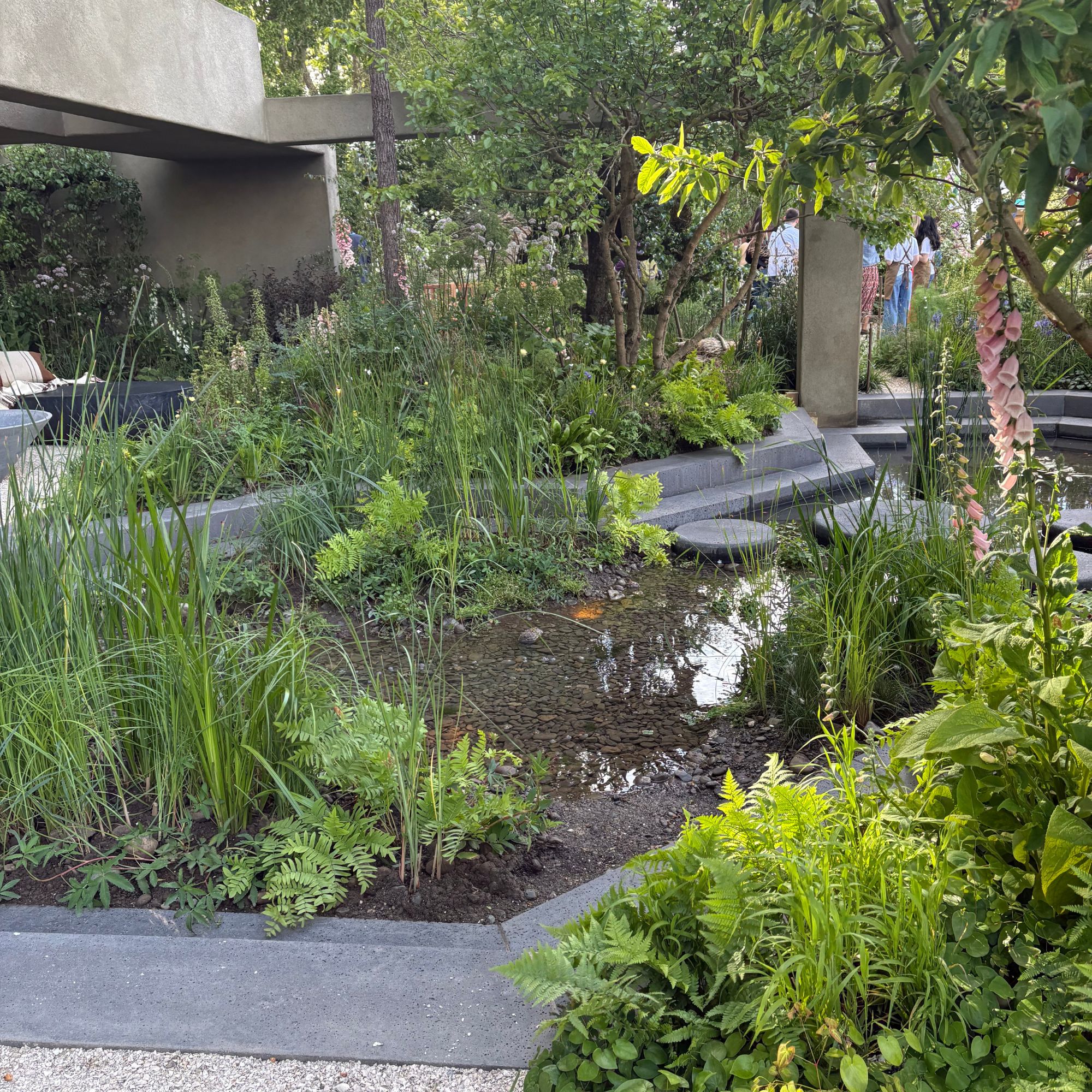 The Kilik &amp;amp; Co 'A Seed in Time' Garden at the RHS Chelsea Flower Show 2026