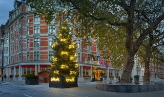 The Connaught Christmas installation Tree 2022 by Suzy Murphy