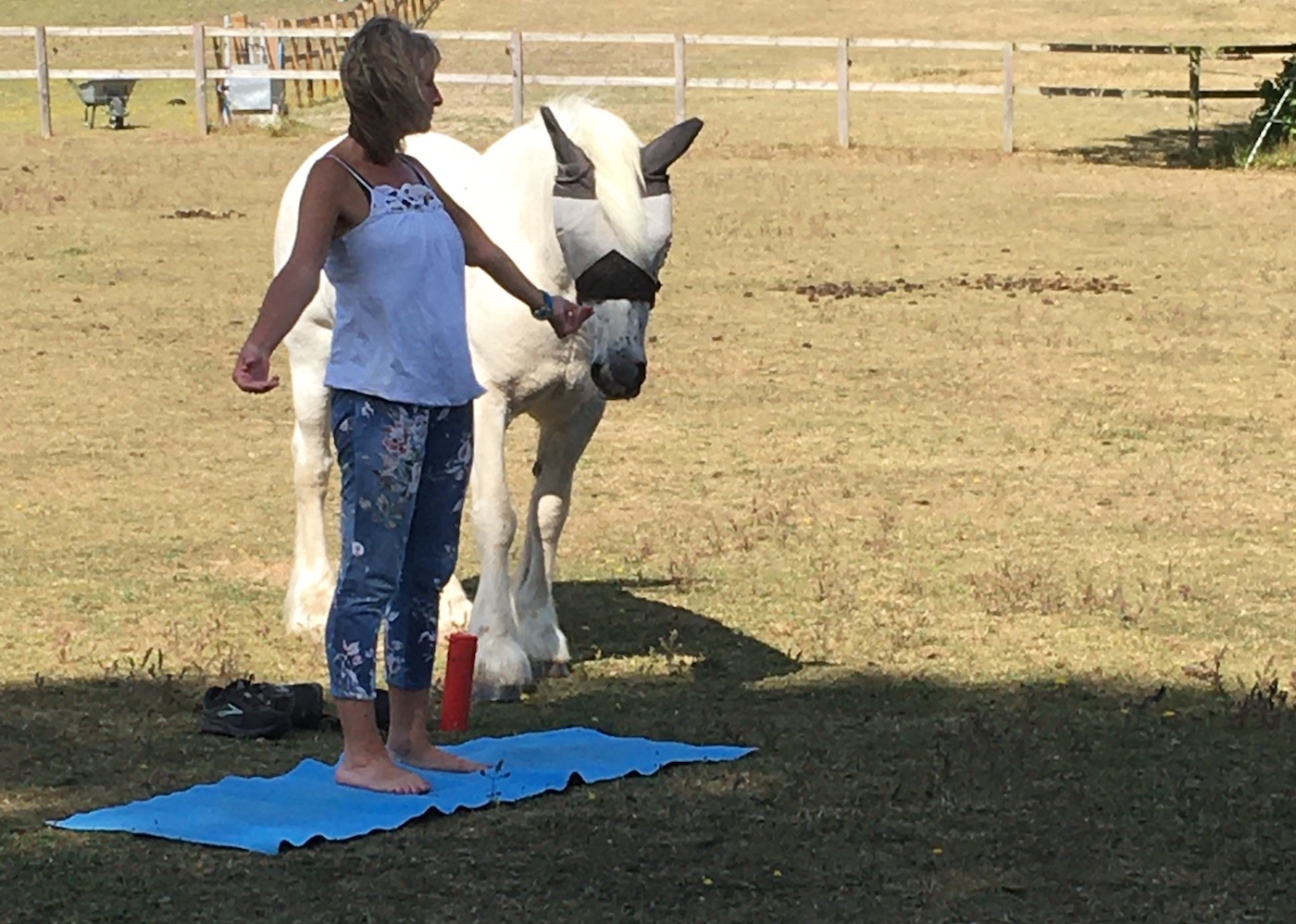 Yoga with horses at Wilton RDA