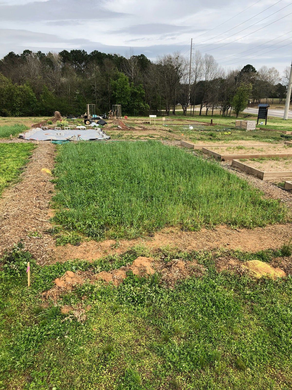 Winter cover crops in need of clearing.