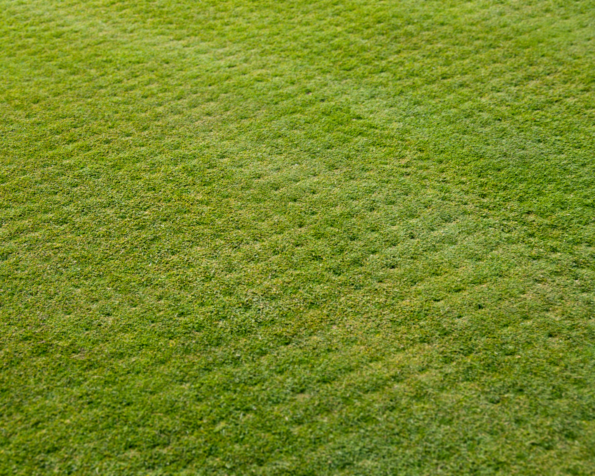 Golf course, putting greens and fairway grass aeration