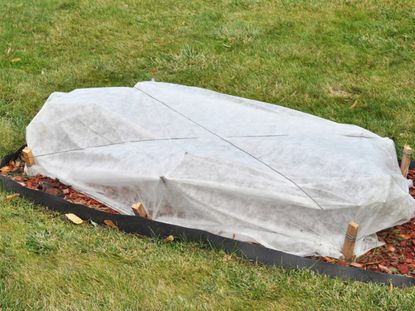 A Row Cover Over Garden Plants