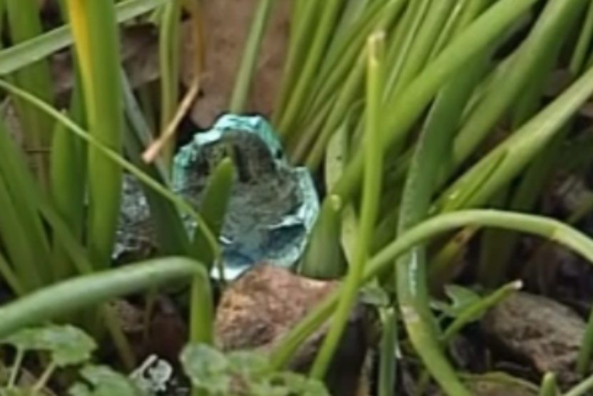 Chemists plan to analyze the strange blue globules, which seem to have just appeared in a backyard in England. 