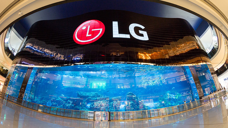 LG Display&#039;s Q3 Report: OLED Lights the Way Forward