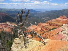 Cedar Break National Monument