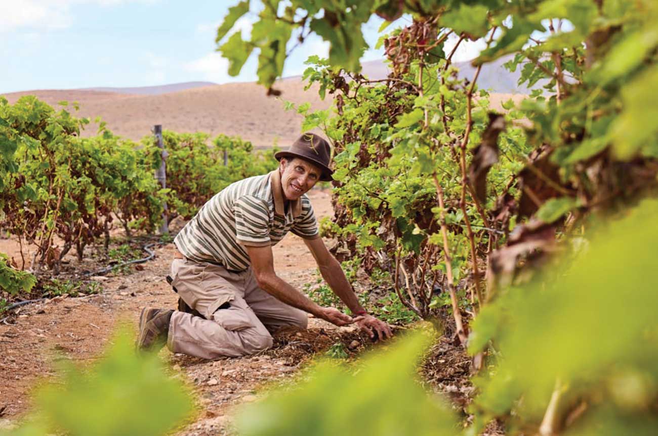 winemaker Jacob Negr&amp;iacute;n of ARyGA
