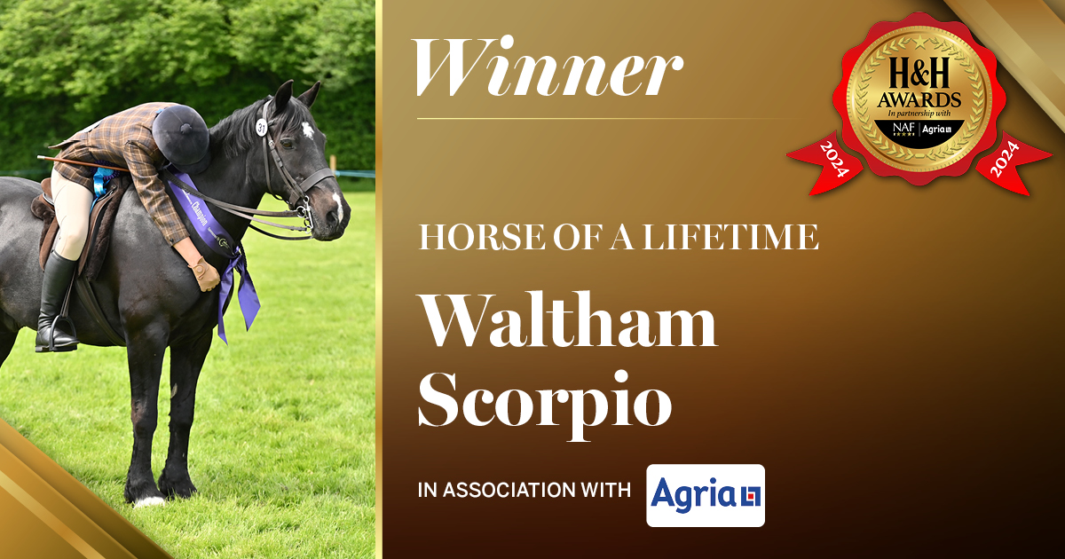 HH.0076_winner socials_1200x630_FB_9_Horse of a Lifetime