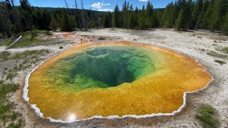 A geyser in Norris Geyser Basin, close to where the Yellowstone National Park earthquake struck.