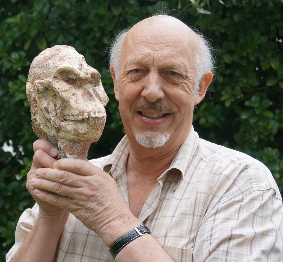 In Photos 'Little Foot' Human Ancestor Walked With Lucy Live Science