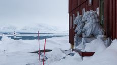 Granite lions in front of the Chinese research station in Svalbard; they were removed earlier this year.