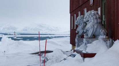 Granite lions in front of the Chinese research station in Svalbard; they were removed earlier this year.