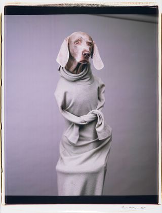 Black and white picture of a dog wearing a dress