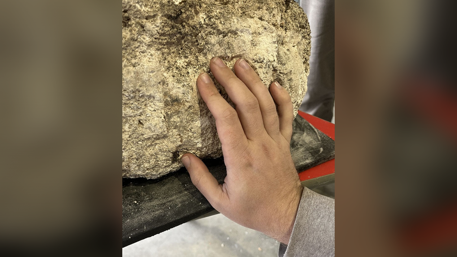 pieces of plaster with fingerprints in them