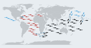 World map showing the distribution of three distinct white shark populations