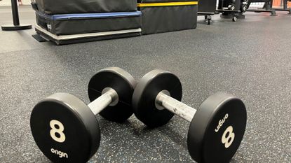 A pair of dumbbells on a gym floor