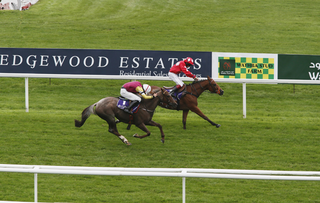 pony-racing-Tyler-Heard-The-Jobs-Not-Straight-2.jpg