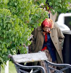 Queen Elizabeth ducking under a bush wearing a red headscarf and trench coat