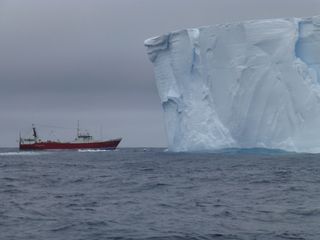 The Amaltal Explorer is dwarfed by a tabular iceberg during the Antarctic voyage.