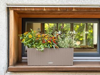 best self watering gadgets and accessories, an all-weather rattan-style planter sitting on a windowsill full of flowers, chillis and herbs