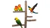 Coppthinktu Bird Perch Natural Wood Stand Toy