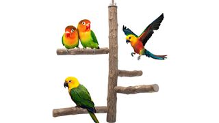 Bird Perch Natural Wood Stand parrot toy