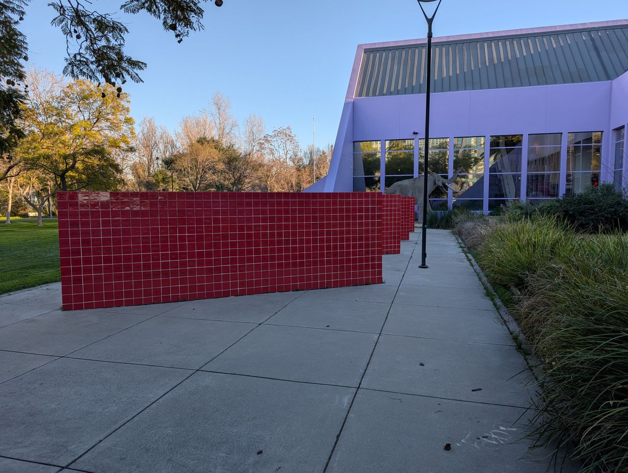 Google Pixel 9 Pro voorbeeldfoto