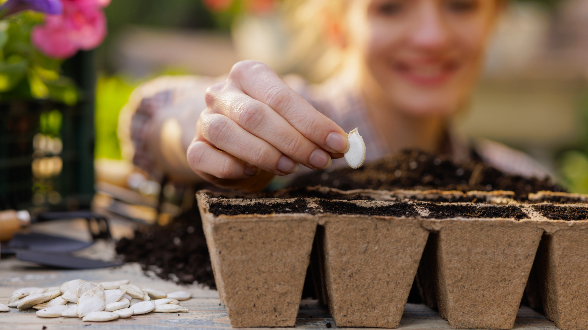 woman planting pumpkin seed 
