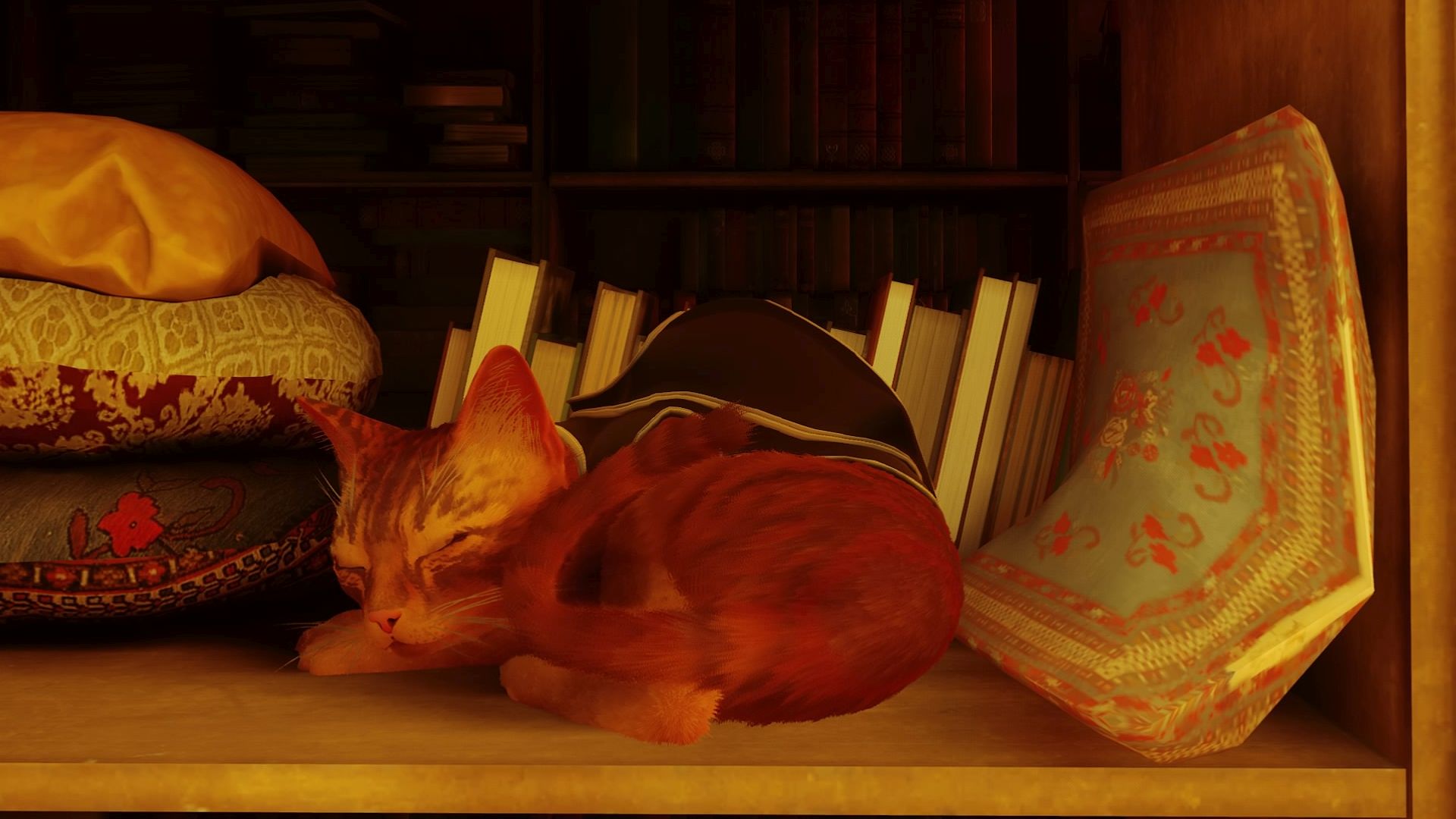 Stray' — the videogame where you play as a cat — is breaking the